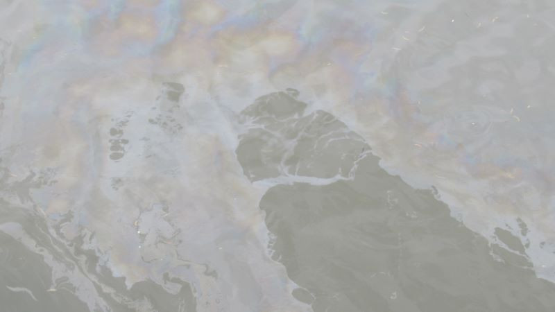 Мазни петна се появиха в Дунав край Русе